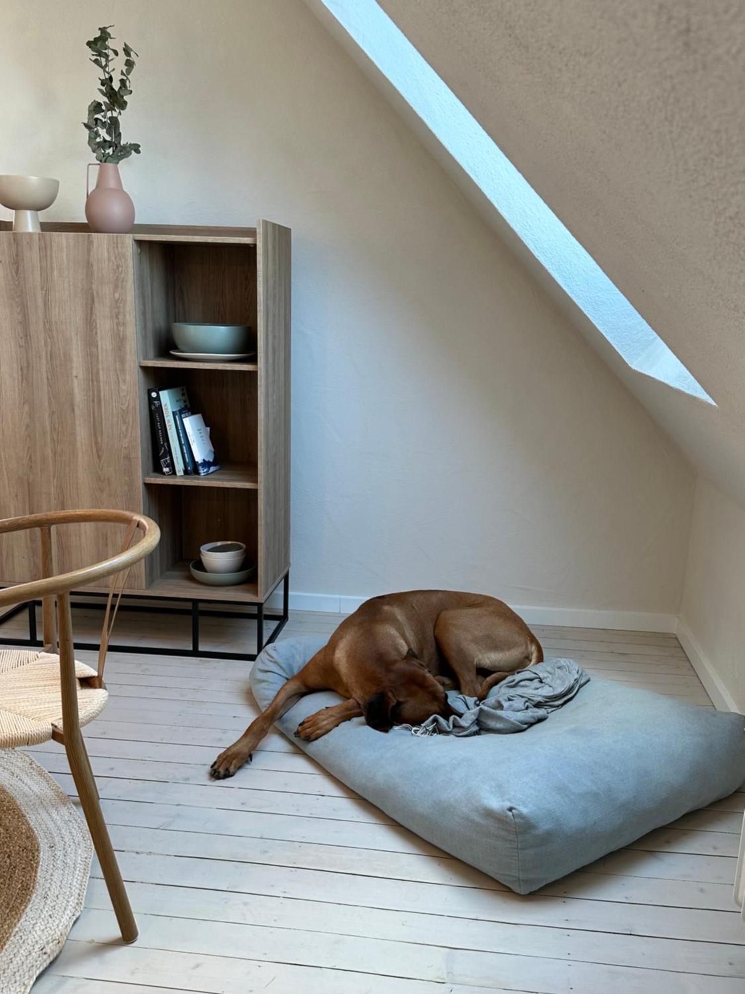 Cozy City Apartment Daun - Ferienwohnung Eksteriør bilde